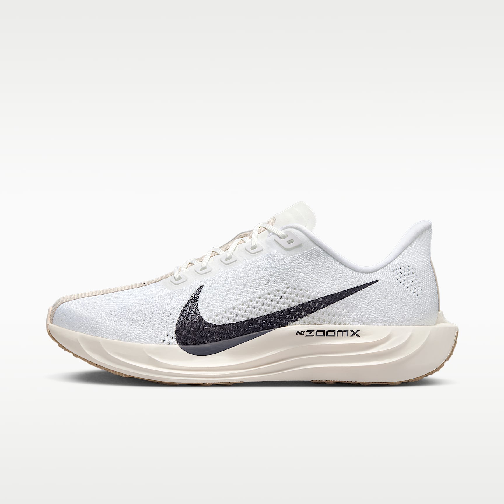 Nike Pegasus Plus Men's Road Running Shoes. Nike SG
